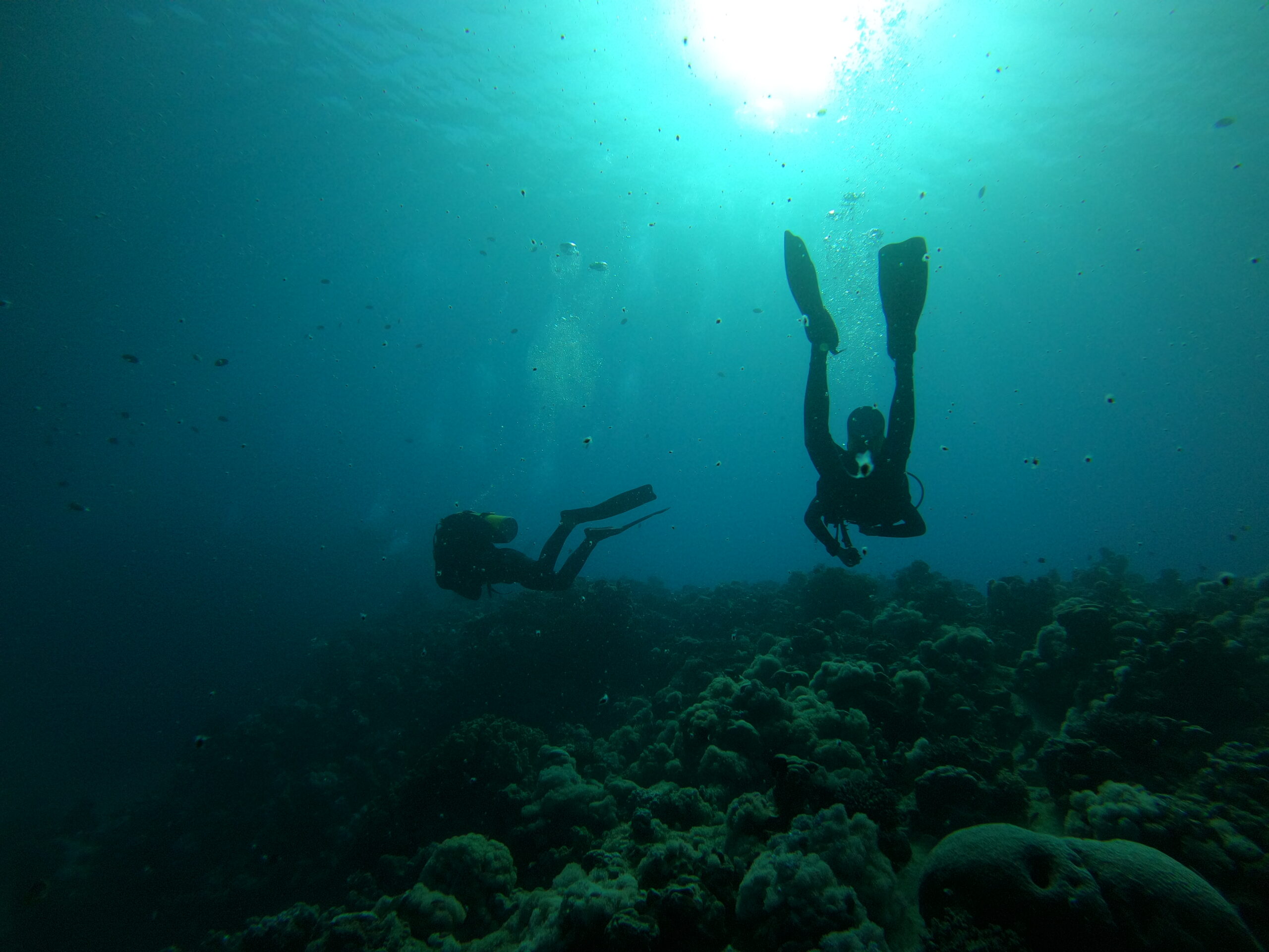 DCIM100GOPROGOPR1239.JPG